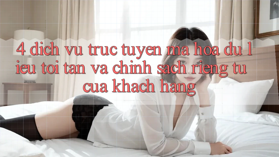 4. Dịch vụ trực tuyến Mã hóa dữ liệu Tối Tân Và Chính sách riêng tư Của Khách hàng