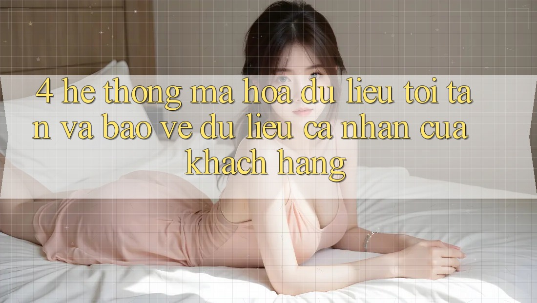 4. Hệ Thống Mã hóa dữ liệu Tối Tân Và Bảo vệ dữ liệu cá nhân Của Khách hàng