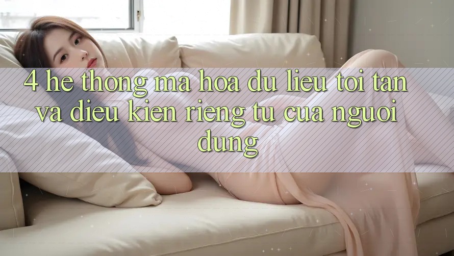 4. Hệ Thống Mã hóa dữ liệu Tối Tân Và Điều kiện riêng tư Của Người Dùng