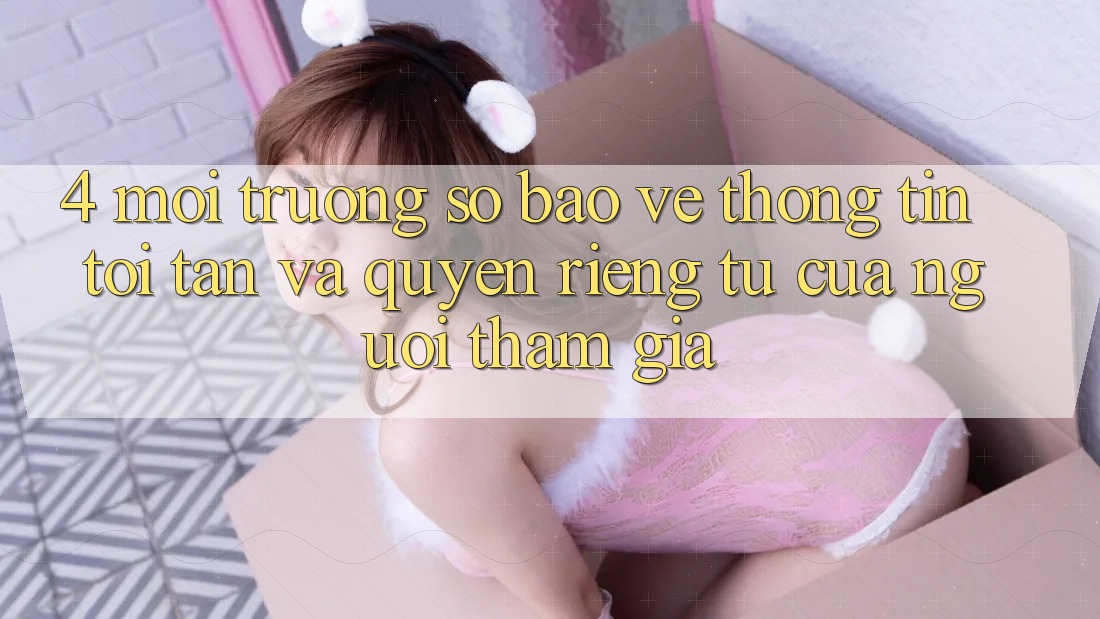 4. Môi trường số Bảo vệ thông tin Tối Tân Và Quyền Riêng Tư Của Người tham gia