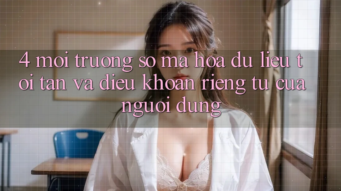 4. Môi trường số Mã hóa dữ liệu Tối Tân Và Điều khoản riêng tư Của Người Dùng