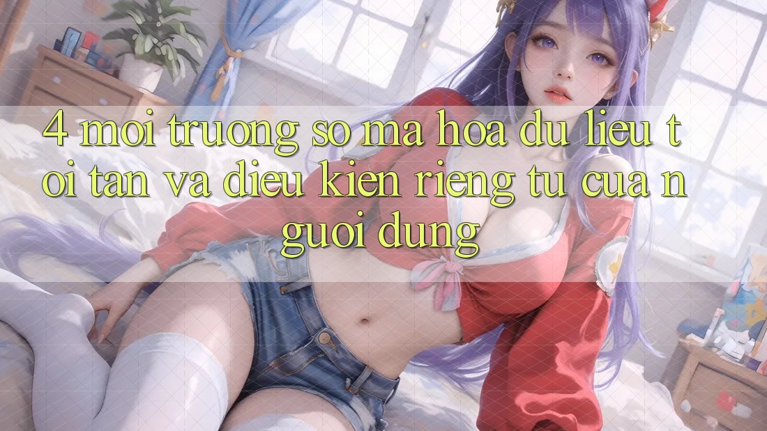 4. Môi trường số Mã hóa dữ liệu Tối Tân Và Điều kiện riêng tư Của Người Dùng