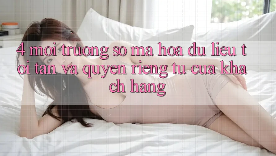 4. Môi trường số Mã hóa dữ liệu Tối Tân Và Quyền Riêng Tư Của Khách hàng
