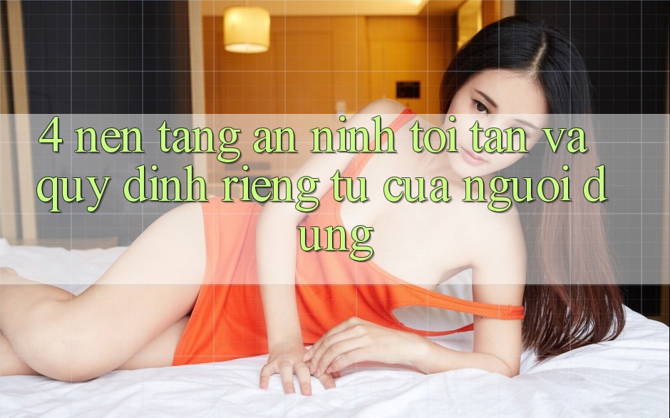 4. Nền tảng An ninh Tối Tân Và Quy định riêng tư Của Người Dùng 4. Nền tảng An ninh Tối Tân Và Quy định riêng tư Của Người Dùng