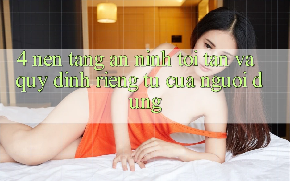 4. Nền tảng An ninh Tối Tân Và Quy định riêng tư Của Người Dùng 4. Nền tảng An ninh Tối Tân Và Quy định riêng tư Của Người Dùng