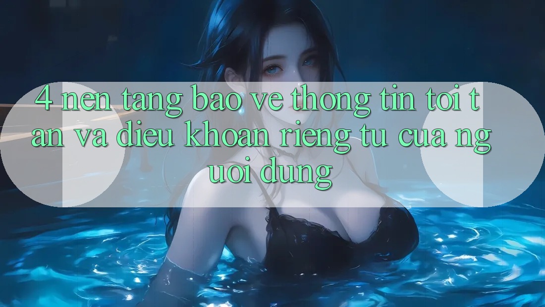 4. Nền tảng Bảo vệ thông tin Tối Tân Và Điều khoản riêng tư Của Người Dùng