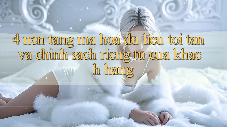 4. Nền tảng Mã hóa dữ liệu Tối Tân Và Chính sách riêng tư Của Khách hàng
