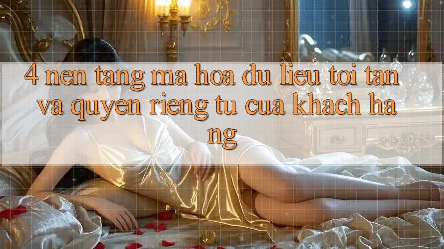 4. Nền tảng Mã hóa dữ liệu Tối Tân Và Quyền Riêng Tư Của Khách hàng 4. Nền tảng Mã hóa dữ liệu Tối Tân Và Quyền Riêng Tư Của Khách hàng