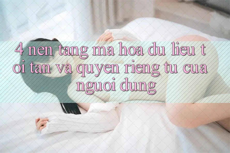 4. Nền tảng Mã hóa dữ liệu Tối Tân Và Quyền Riêng Tư Của Người Dùng