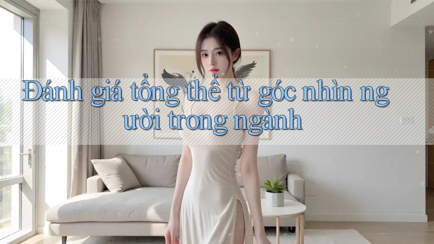 Đánh giá tổng thể: Từ góc nhìn người trong ngành Đánh giá tổng thể: Từ góc nhìn người trong ngành