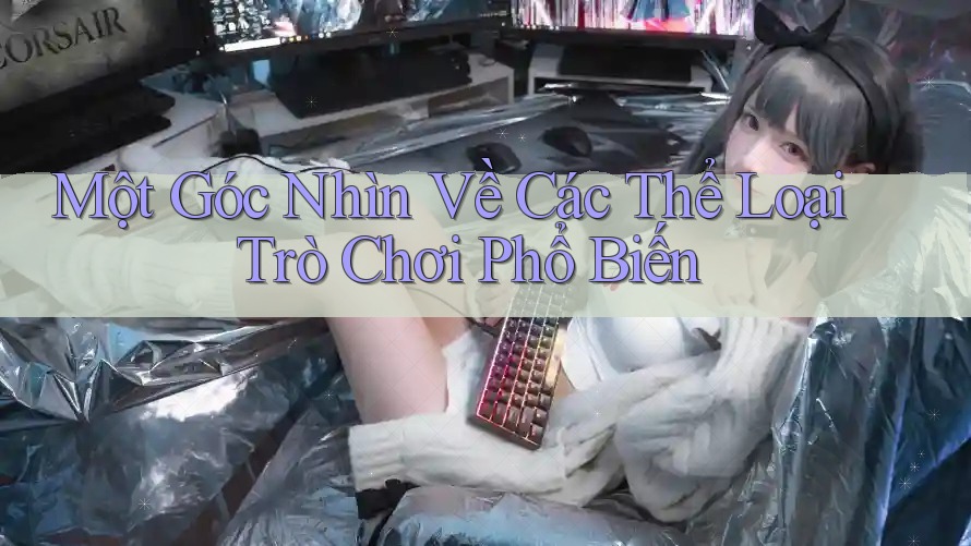 Một góc nhìn về các thể loại trò chơi phổ biến