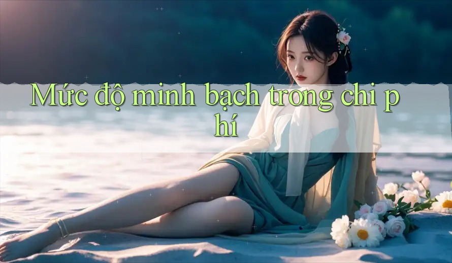 Mức độ minh bạch trong chi phí
