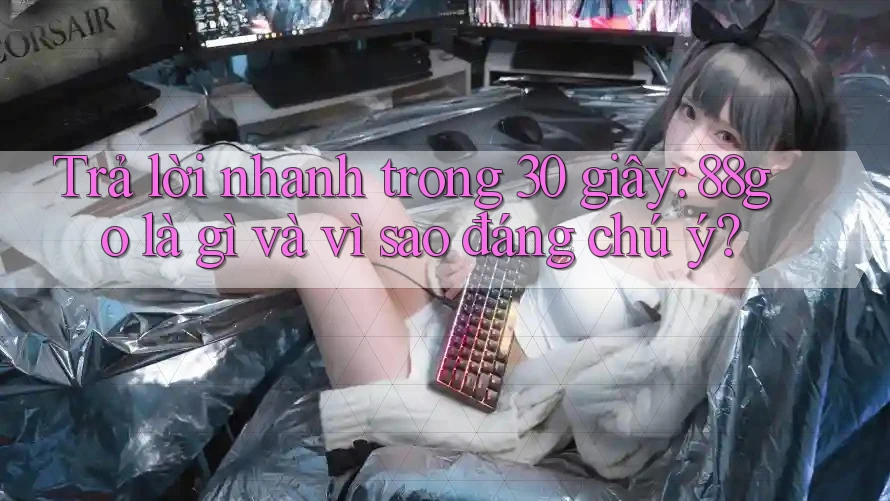 Trả lời nhanh trong 30 giây: 88go là gì và vì sao đáng chú ý?