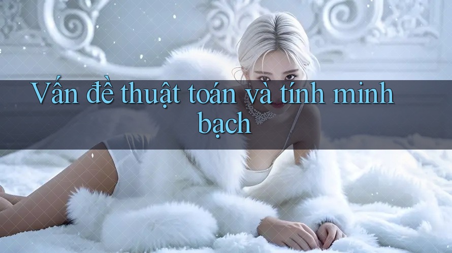 Vấn đề thuật toán và tính minh bạch